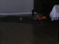 PC240168.JPG - 2005:12:24 09:42:28