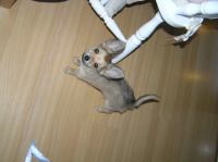 PC240169.JPG - 2005:12:24 09:44:43