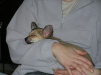 PC240179.JPG - 2005:12:24 11:44:48