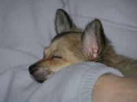 PC240183.JPG - 2005:12:24 11:45:35