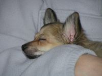 PC240184.JPG - 2005:12:24 11:45:40