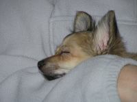 PC240185.JPG - 2005:12:24 11:45:50