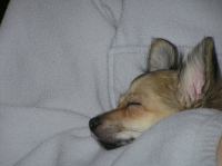 PC240186.JPG - 2005:12:24 11:45:55