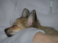 PC240187.JPG - 2005:12:24 11:46:15