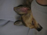 PC240193.JPG - 2005:12:24 11:47:06