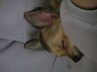 PC240194.JPG - 2005:12:24 11:47:07