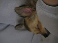 PC240195.JPG - 2005:12:24 11:47:08