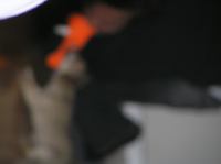 PC240196.JPG - 2005:12:24 12:10:37