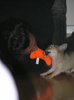 PC240197.JPG - 2005:12:24 12:10:43