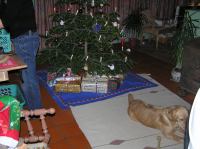 PC240206.JPG - 2005:12:24 20:43:43