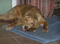 PC240217.JPG - 2005:12:24 22:31:24