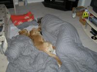 PC250236.JPG - 2005:12:25 18:56:39