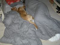 PC250237.JPG - 2005:12:25 18:56:57