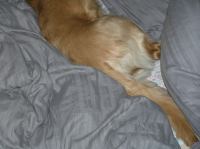 PC250238.JPG - 2005:12:25 18:57:04