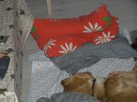 PC250239.JPG - 2005:12:25 18:57:29