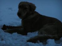 PC290246.JPG - 2005:12:29 09:28:09