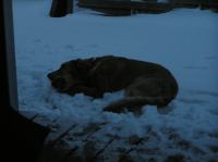 PC290247.JPG - 2005:12:29 09:28:15