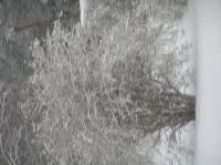 PC290249.JPG - 2005:12:29 13:15:01