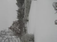 PC290250.JPG - 2005:12:29 13:15:06