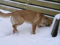 PC290251.JPG - 2005:12:29 15:17:11