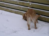 PC290252.JPG - 2005:12:29 15:17:17