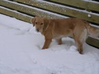 PC290253.JPG - 2005:12:29 15:17:24