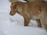 PC290256.JPG - 2005:12:29 15:18:01