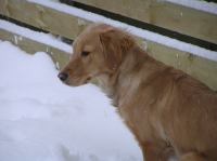 PC290257.JPG - 2005:12:29 15:18:03