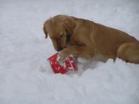 PC290259.JPG - 2005:12:29 15:51:09