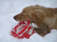 PC290260.JPG - 2005:12:29 15:51:48