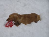 PC290261.JPG - 2005:12:29 15:51:57