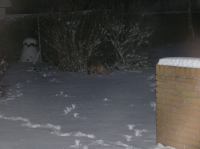 PC300262.JPG - 2005:12:30 17:19:14