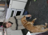 PC310264.JPG - 2005:12:31 10:57:20