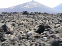 P2020128.JPG - 2006:02:02 14:50:26