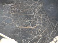 P2020144.JPG - 2006:02:02 15:21:29