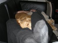 P1010268.JPG - 2006:01:01 22:06:39