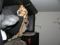 P1010269.JPG - 2006:01:01 22:06:52