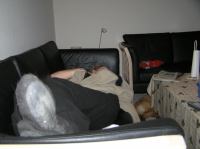 P1010271.JPG - 2006:01:01 22:07:33