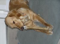 P1080289.JPG - 2006:01:08 19:50:42