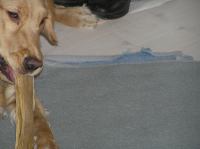 P1080291.JPG - 2006:01:08 20:43:04