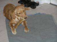 P1080292.JPG - 2006:01:08 20:43:20