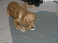 P1080293.JPG - 2006:01:08 20:43:29