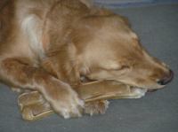 P1080294.JPG - 2006:01:08 20:43:40