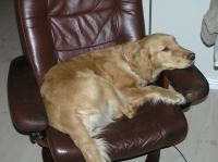 P1080295.JPG - 2006:01:08 22:11:58