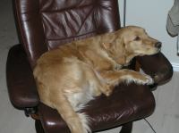 P1080296.JPG - 2006:01:08 22:12:02