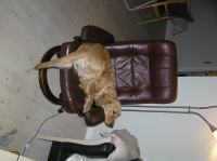 P1080297.JPG - 2006:01:08 22:12:10