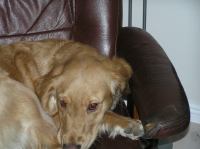 P1080298.JPG - 2006:01:08 22:12:20