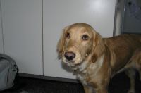 P1220320.JPG - 2006:01:22 10:20:25