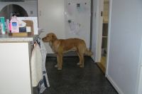 P1220330.JPG - 2006:01:22 10:21:51