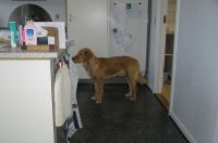 P1220331.JPG - 2006:01:22 10:21:55